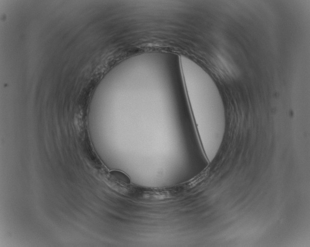 X0000071780559200606300920