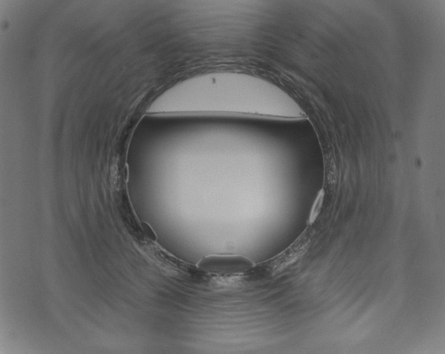 X0000071780560200606300920