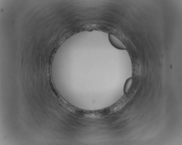 X0000071780561200606300920