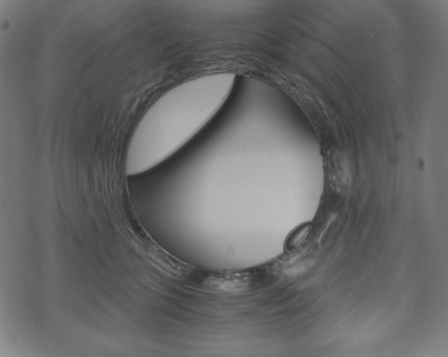 X0000071780563200606300920