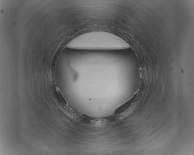 X0000071780564200606300920