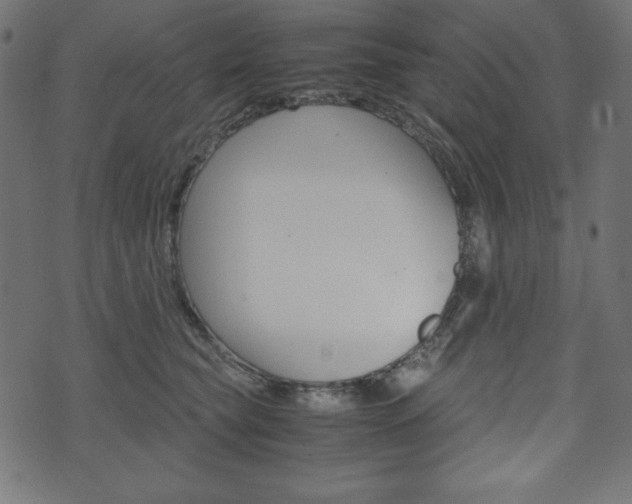 X0000071780565200606300920