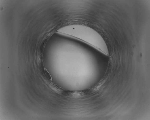 X0000071780566200606300920