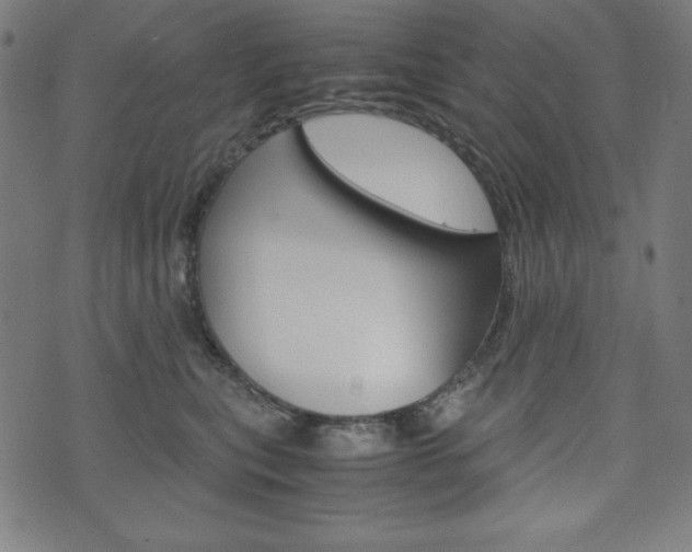 X0000071780567200606300920