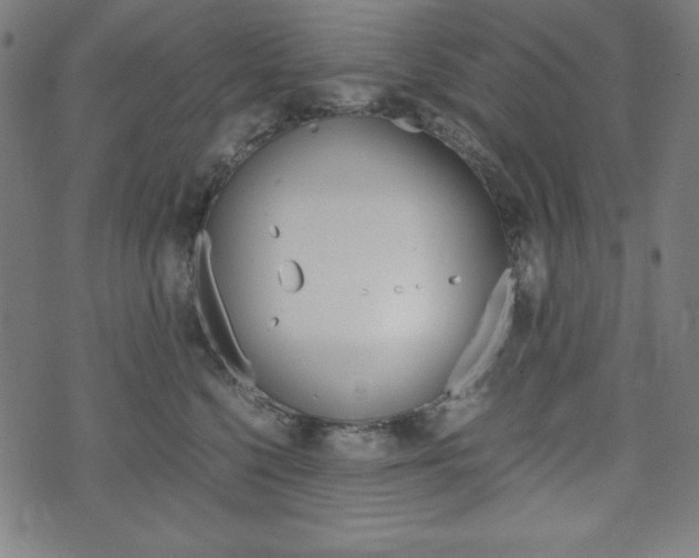 X0000071780568200606300920