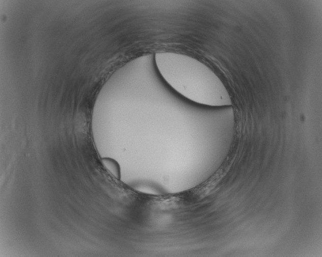 X0000071780569200606300920