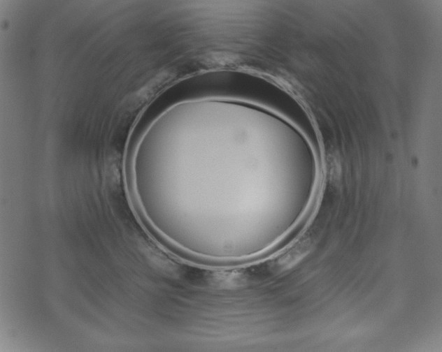 X0000071780570200606300920