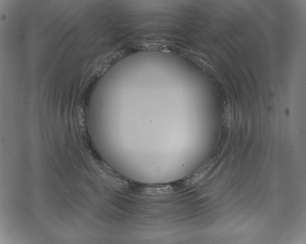 X0000071780571200606300920