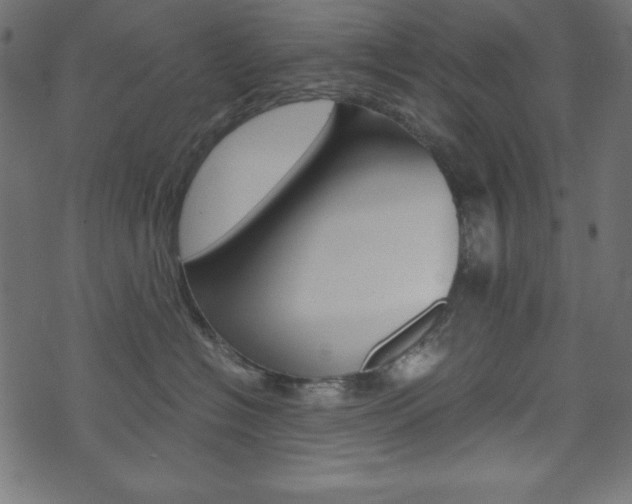 X0000071780574200606300920