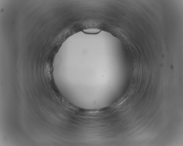 X0000071780575200606300920