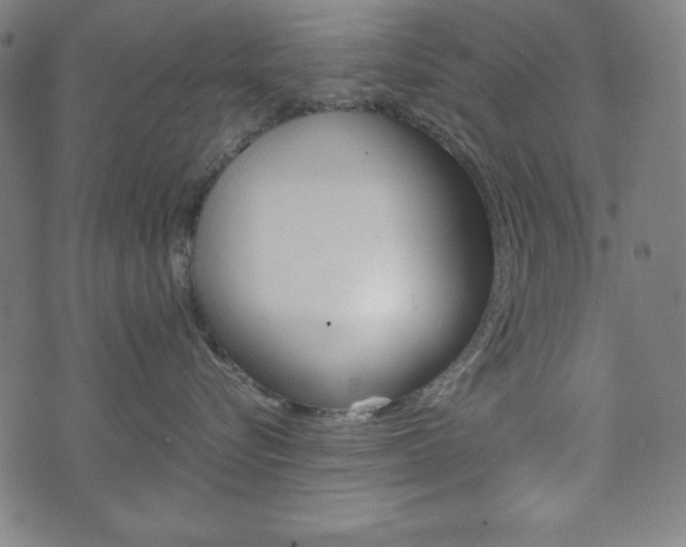 X0000071780576200606300920