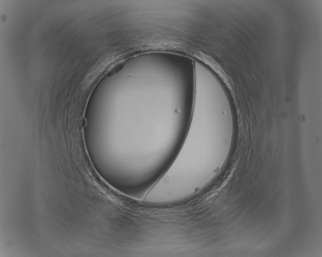 X0000071780577200606300919