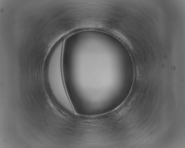 X0000071780580200606300919