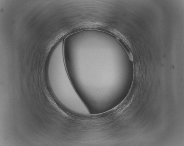 X0000071780581200606300919