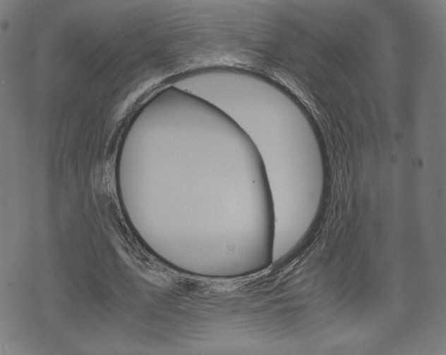 X0000071780583200606300919