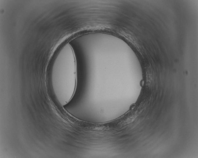 X0000071780584200606300919