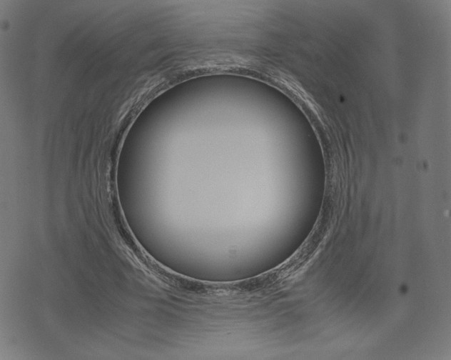 X0000071780585200606300919