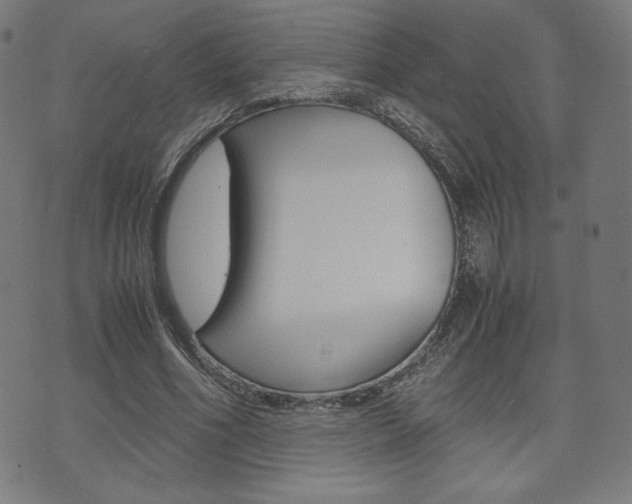 X0000071780586200606300919