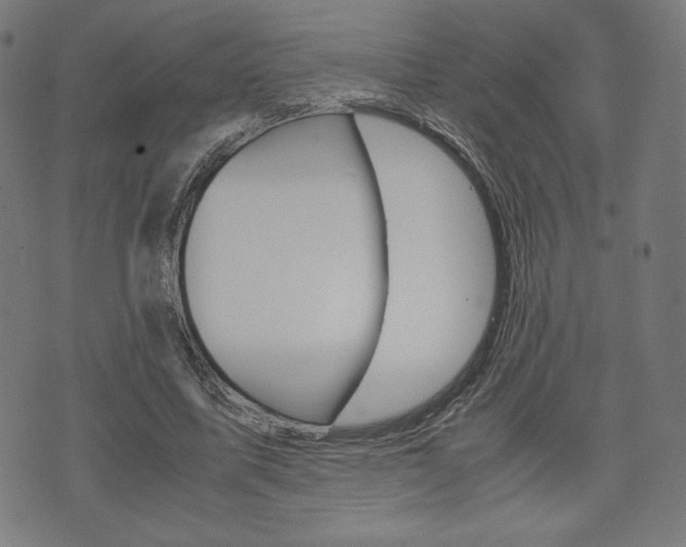 X0000071780587200606300919