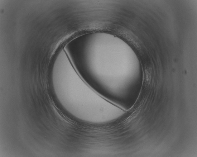 X0000071780588200606300919