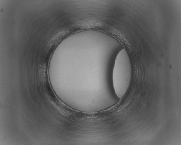 X0000071780590200606300919