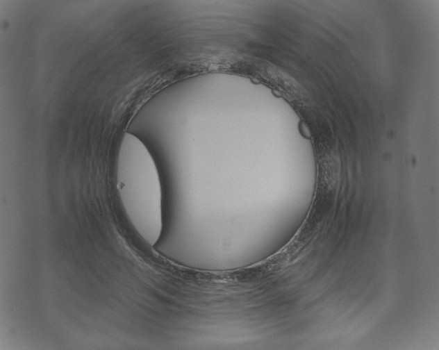 X0000071780594200606300919