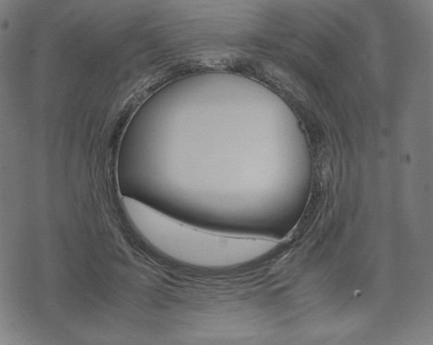 X0000071780595200606300919