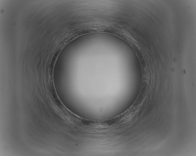 X0000071780597200606300919