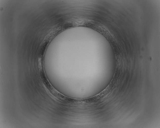 X0000071780598200606300919