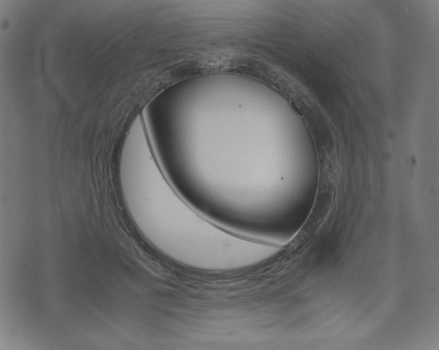 X0000071780601200606300919