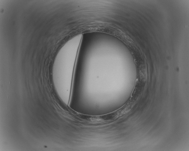 X0000071780605200606300919