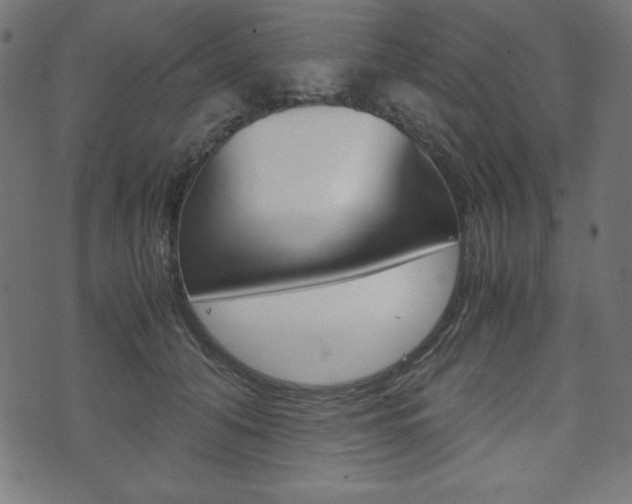 X0000071780608200606300919