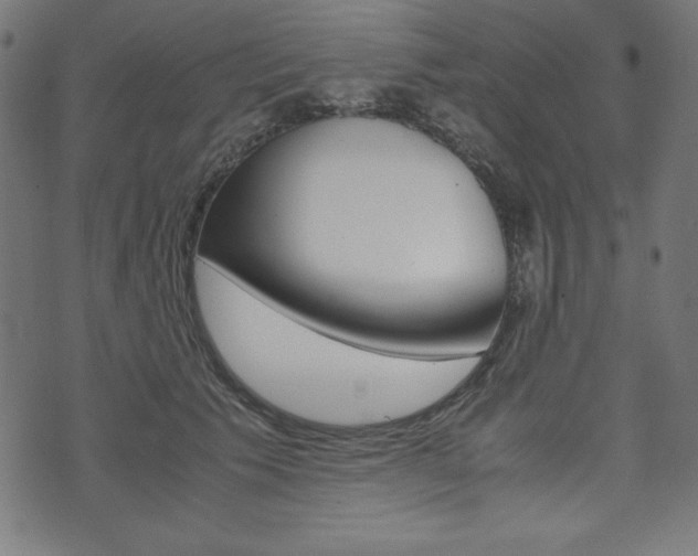 X0000071780609200606300919