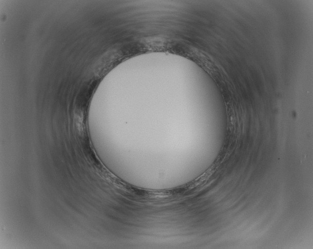 X0000071780610200606300919