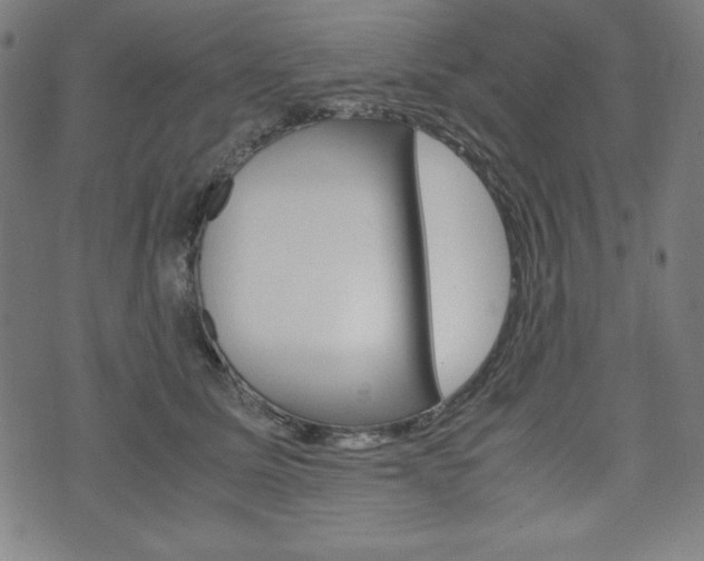 X0000071780611200606300919