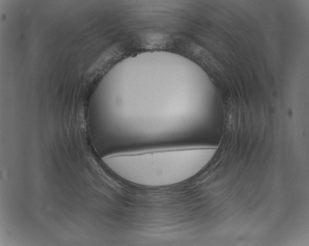 X0000071780620200606300918