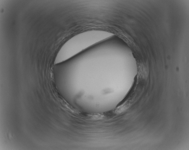 X0000071780621200606300918