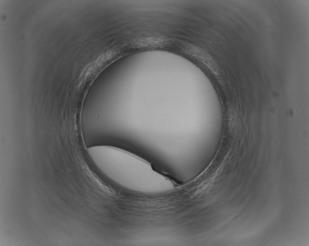 X0000071780633200606300918