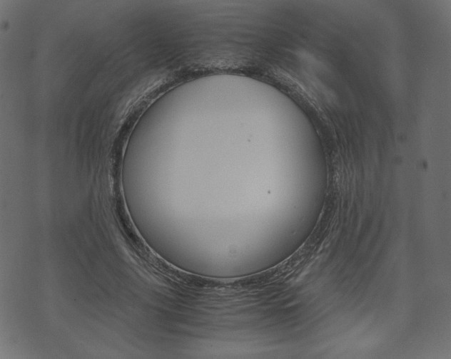 X0000071780635200606300918