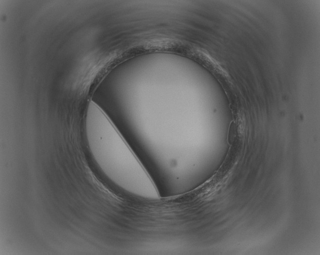 X0000071780637200606300918