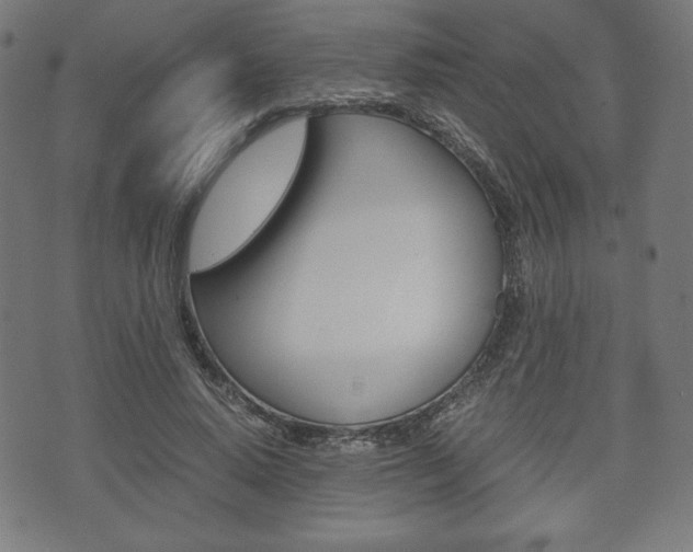 X0000071780640200606300918