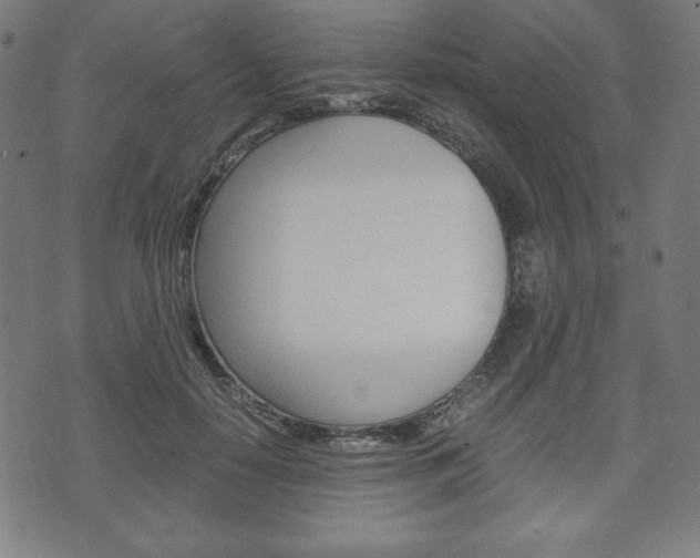 X0000071780650200606300918