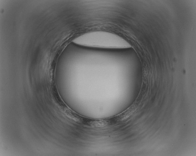 X0000071780652200606300918