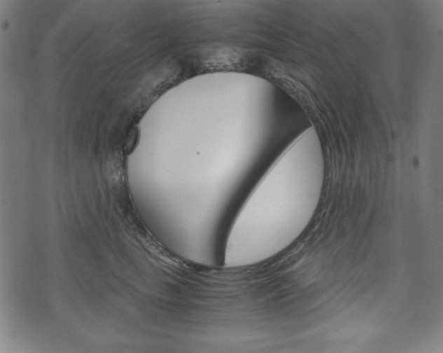X0000071780665200606300918