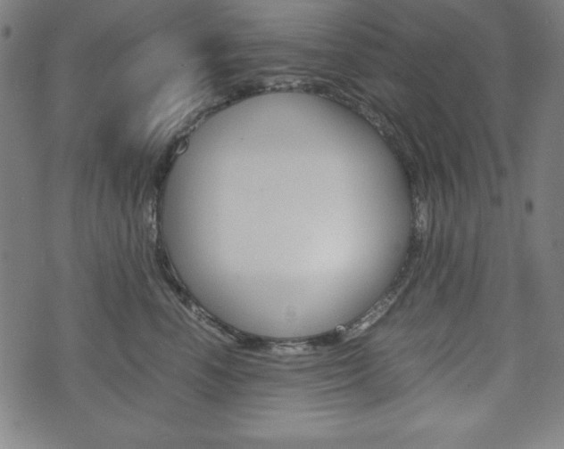 X0000071780666200606300918