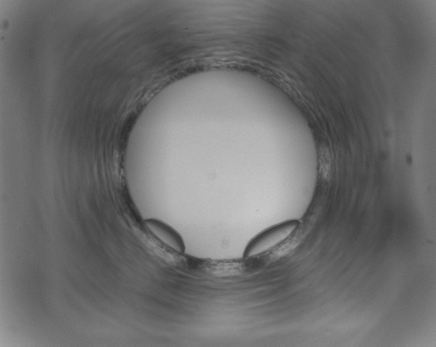 X0000071780670200606300918
