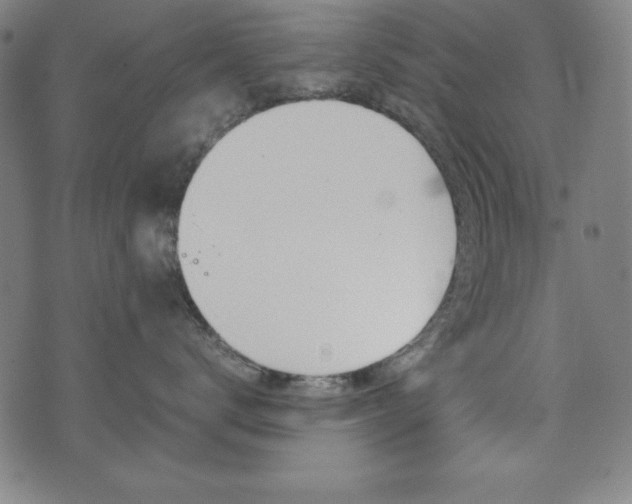 X0000071780672200606300918