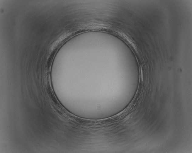 X0000071780675200606300917