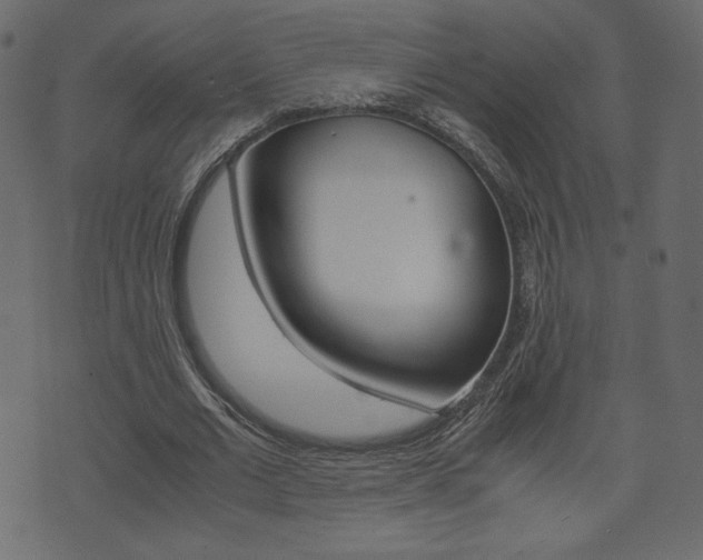 X0000071780677200606300917