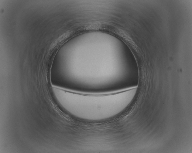 X0000071780681200606300917